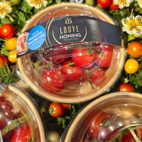 Tasting honingtomaten 🍅